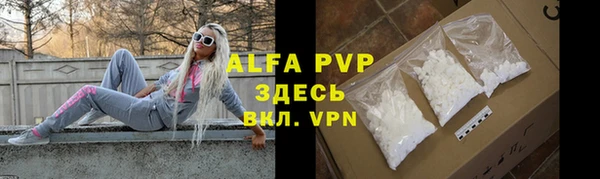 стаф Абинск
