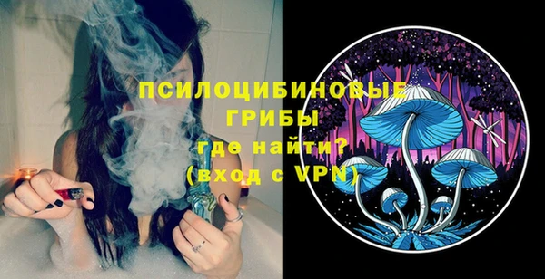 стаф Абинск