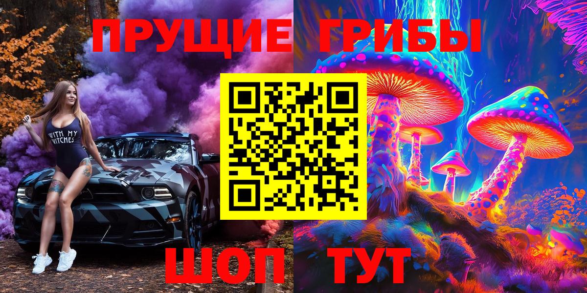 Псилоцибиновые грибы мицелий  где купить   Сокол  Вход с VPN  Псилоцибиновые грибы мицелий 